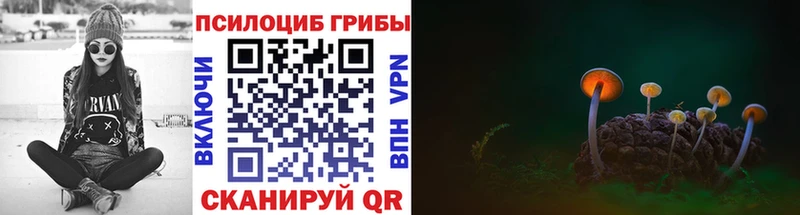 Псилоцибиновые грибы мухоморы  Ногинск 